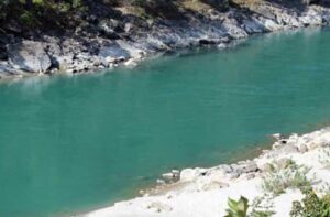 कालीगण्डकीमा ३१ हजार माछाका भुरा छाडियो