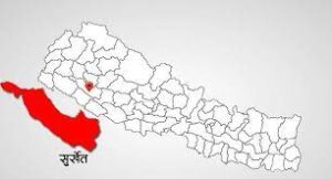 चार लाख मूल्य बराबरका खाद्य वस्तु नष्ट चार लाख मूल्य बराबरका खाद्य वस्तु नष्ट