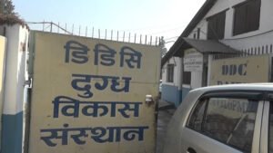 दुग्ध विकास संस्थानको महाप्रवन्धक पदमा दरखास्त आह्वान