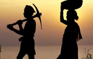 श्रमिक नपाउँदा किसानलाई छैन पर्वको रौनक श्रमिक नपाउँदा किसानलाई छैन पर्वको रौनक