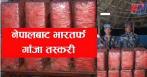 नेपालबाट भारतर्फ रुपमा लैजादै गरेको अवैध गाँजा बारामा बरामद्
