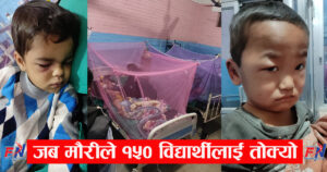 जंगलको मौरी विद्यालय पसेपछि…