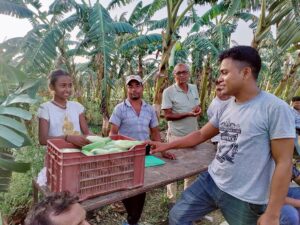 बाराको निजगढ मतगणना परिसरमा १३ वर्षीया दाहाल काँक्रो व्यापार गर्दै