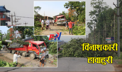 चितवनमा विनाशकारी हावाहुरी (फोटोफिचर)