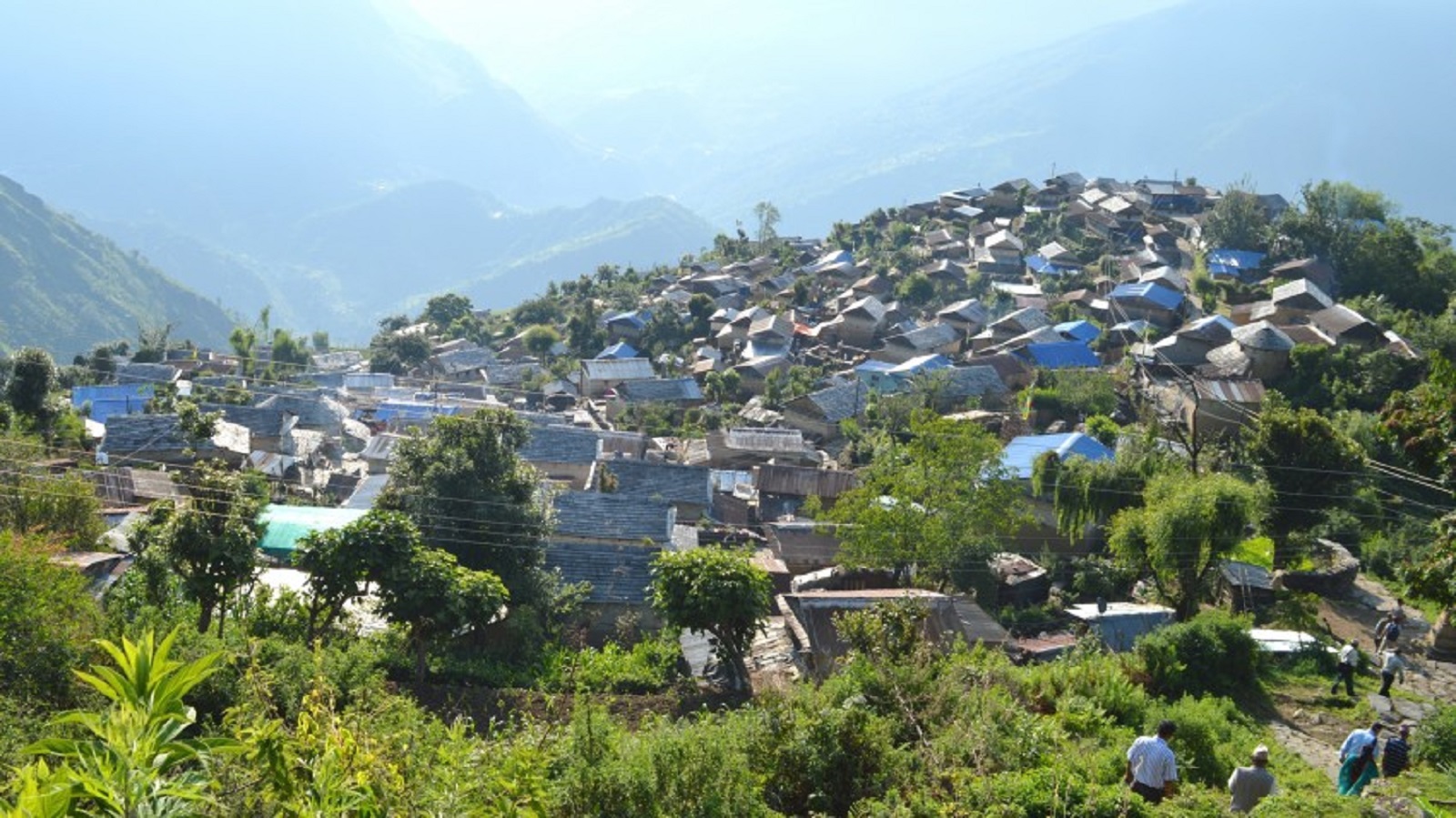 image image