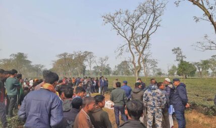झापाको चिया बगानमा दुई जना झुण्डिएको अवस्थामा फेला