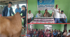 निजगढका पशुमा घातक लम्पी स्किन रोग ! बागदेव सहकारीको पहलमा किसानलाई सचेतना निजगढका पशुमा घातक लम्पी स्किन रोग ! बागदेव सहकारीको पहलमा किसानलाई सचेतना