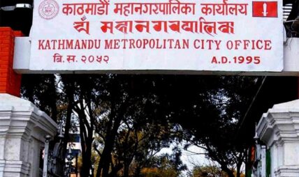भोलिदेखि काठमाडौं महानगरले सडकमा भेटिने गाईबाच्छा काञ्जी हाउसमा राख्ने
