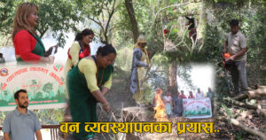 वन व्यवस्थापनमा सामुदायिक वनको चासो बढ्यो ! सहजिकरणमा जुट्यो निजगढ सव डिभिजनको नेतृत्व (भिडियो)