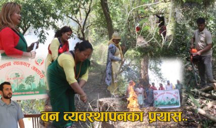 वन व्यवस्थापनमा सामुदायिक वनको चासो बढ्यो ! सहजिकरणमा जुट्यो निजगढ सव डिभिजनको नेतृत्व (भिडियो)
