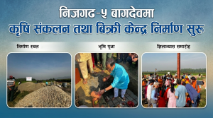 निजगढ–५ बागदेवमा कृषि संकलन तथा बिक्री केन्द्र निर्माण सुरु