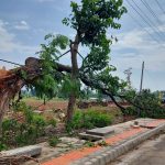 तीव्र हावाहुरीको चेतावनी : बुधबार साँझदेखि बिहीबार बिहानसम्म सतर्क रहन आग्रह