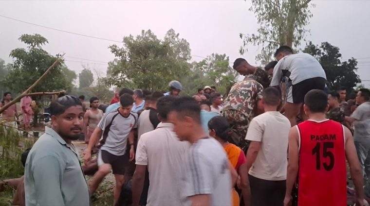 जलेश्वरमा हावाहुरी : टेम्पुमाथि रुख ढल्दा दुई जनाको मृत्यु, तीन जना गम्भीर घाइते