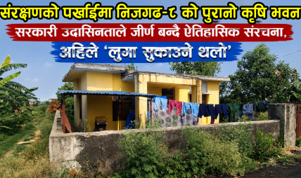 संरक्षणको पर्खाइमा निजगढ–८ को पुरानो कृषि भवन