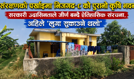 संरक्षणको पर्खाइमा निजगढ–८ को पुरानो कृषि भवन