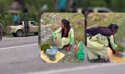 चितवनमा निगुरो जफत गरेको भिडियो भाइरल : सेना भन्छ ‘बनावटी’, भिडियो खिच्नेको दाबी– ‘घटना वास्तविक हो’