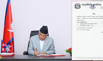 राष्ट्रपतिले जारी गरे सम्पत्ति शुद्धीकरण निवारण अध्यादेश