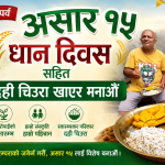 सांस्कृतिक पर्व असार १५ः धान दिवससहित दही चिउरा खाएर मनाइँदै