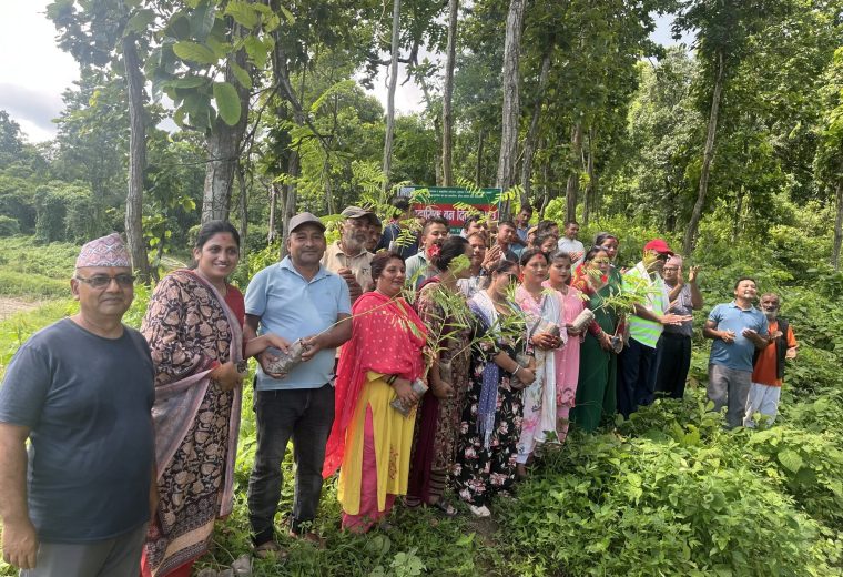 सामुदायिक वन दिवस २०८३ को अवसरमा पर्यटकीय क्षेत्र जाँतेकुनामा बृक्षारोपण