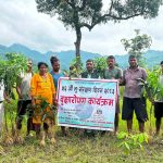 सिंगौलमा वृक्षारोपण गरी भू संरक्षण दिवस मनाइयो