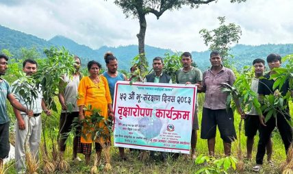 सिंगौलमा वृक्षारोपण गरी भू संरक्षण दिवस मनाइयो