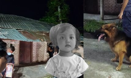 सिमरामा तीन वर्षीया नाबालिकाको निर्मम हत्या
