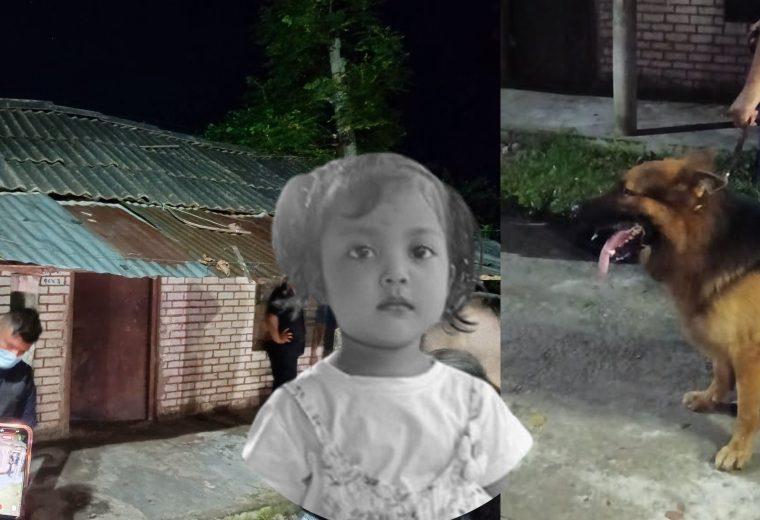 सिमरामा तीन वर्षीया नाबालिकाको निर्मम हत्या